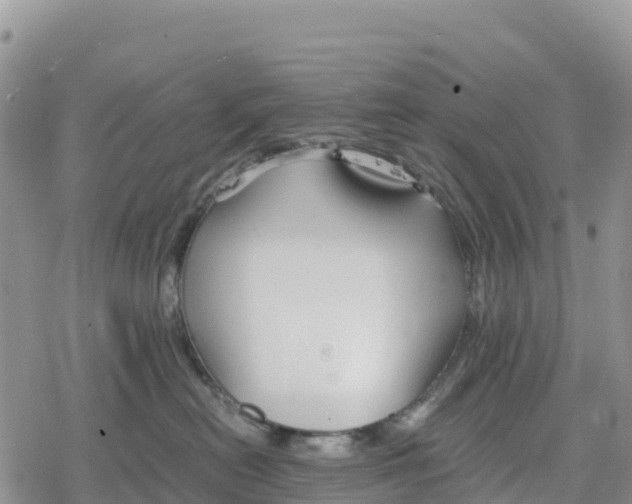 X0000078280478200611251423