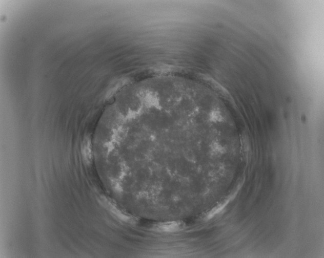 X0000078280479200611251423