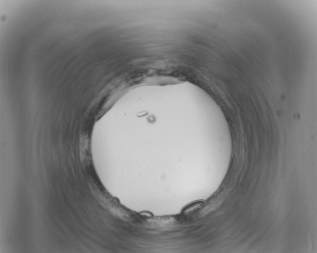 X0000078280480200611251423