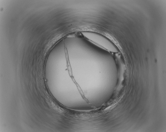 X0000078280481200611251422