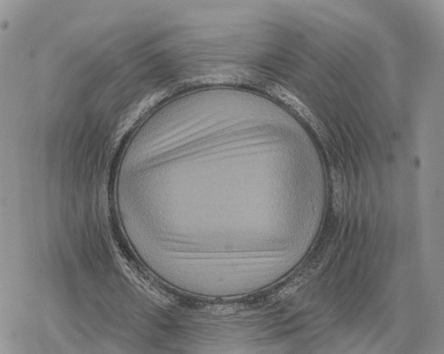 X0000078280482200611251422