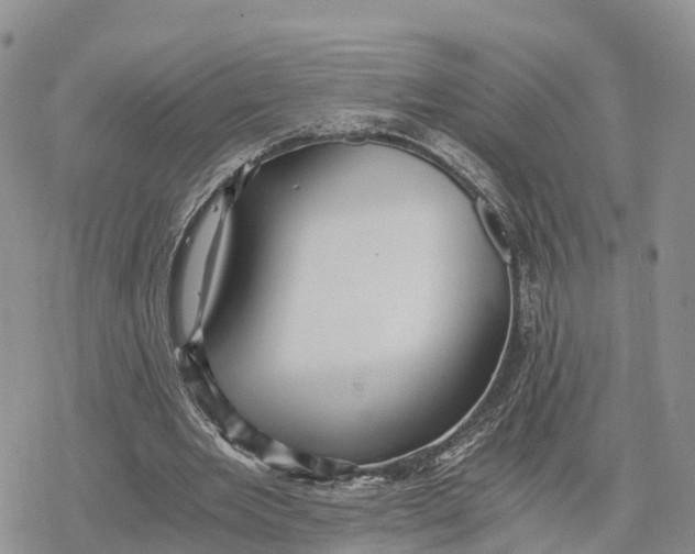 X0000078280485200611251422