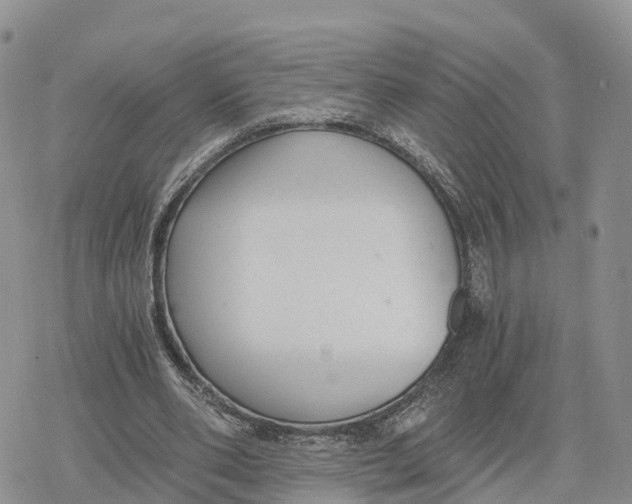 X0000078280486200611251422