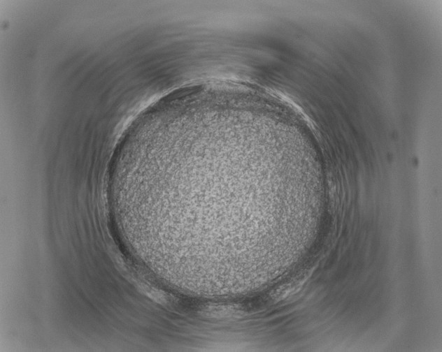 X0000078280487200611251422