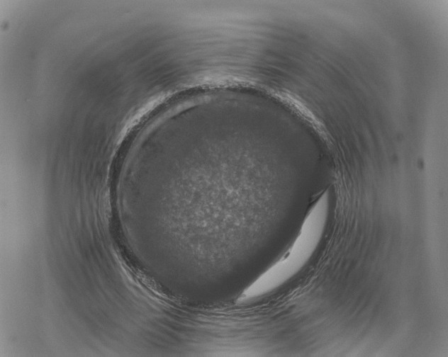 X0000078280488200611251422