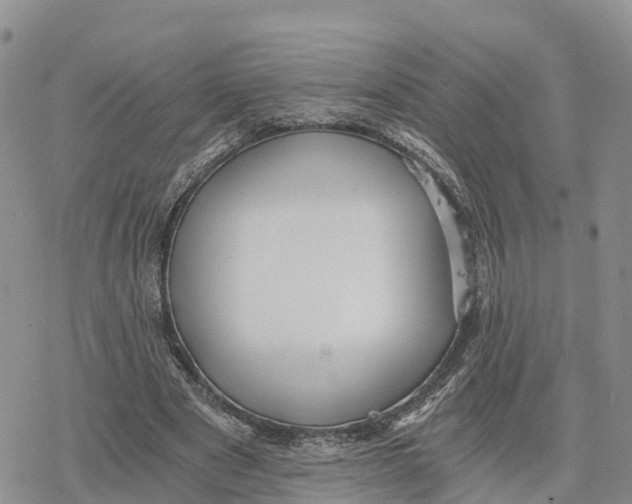 X0000078280489200611251422