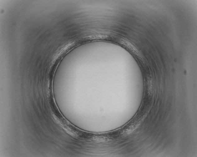 X0000078280490200611251422