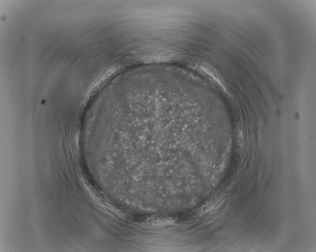 X0000078280491200611251422