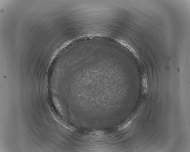 X0000078280492200611251422