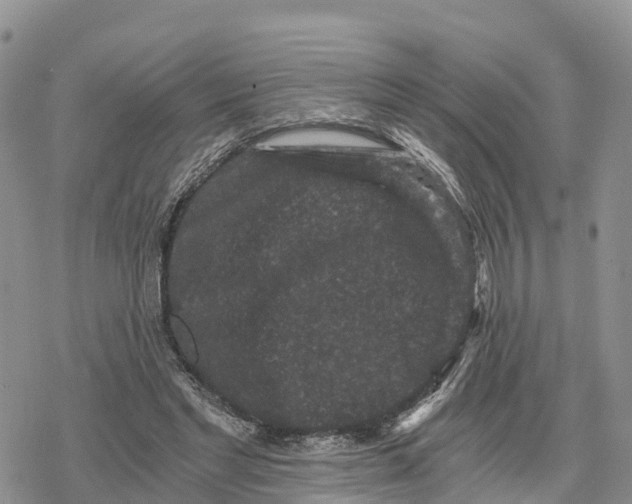 X0000078280493200611251422