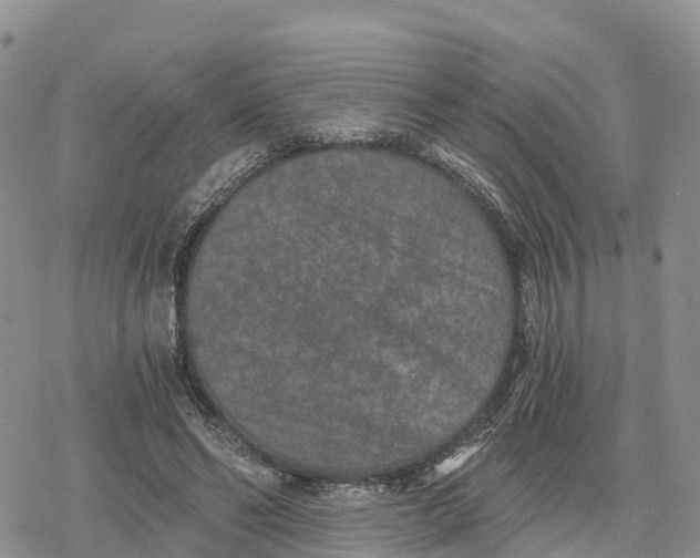 X0000078280494200611251422