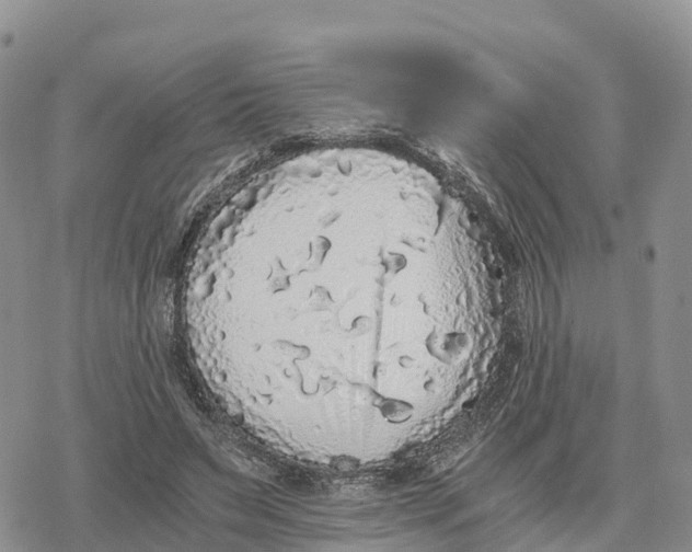 X0000078280495200611251422