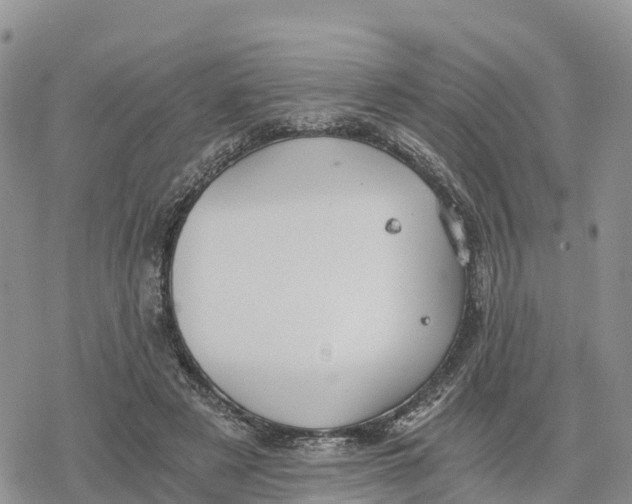 X0000078280497200611251422