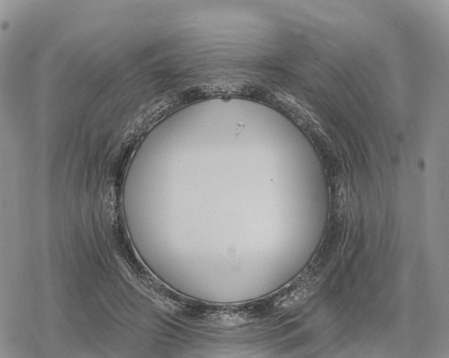 X0000078280498200611251422