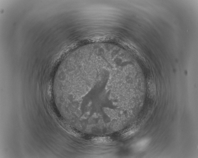 X0000078280499200611251422