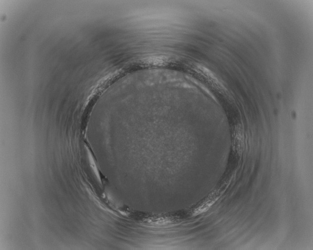 X0000078280500200611251422