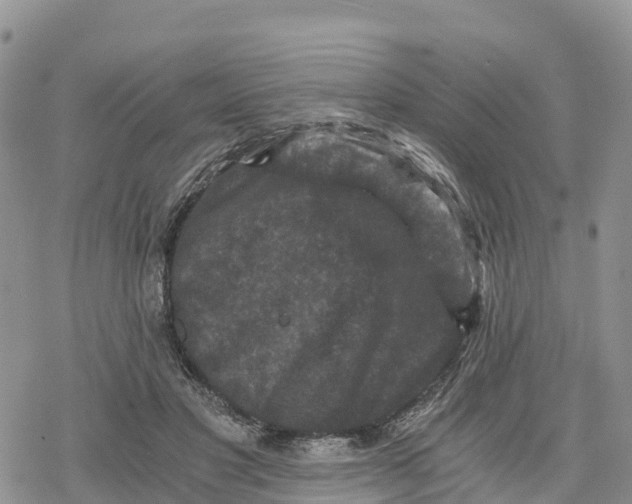 X0000078280501200611251422