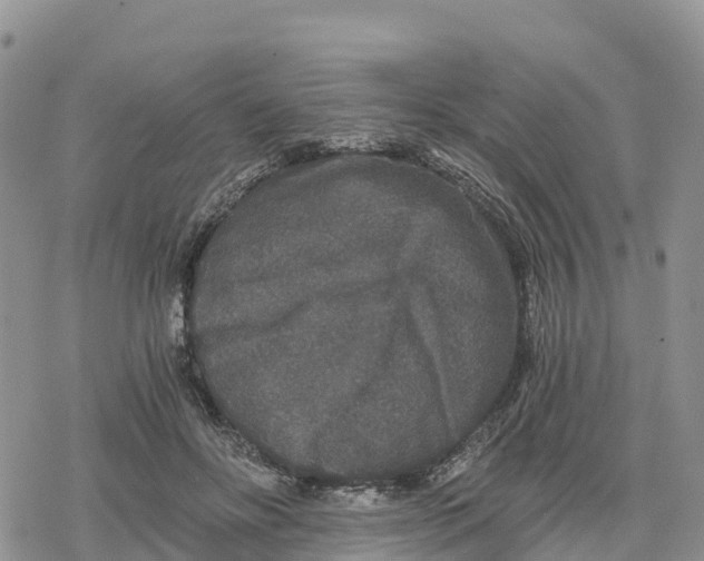 X0000078280502200611251422