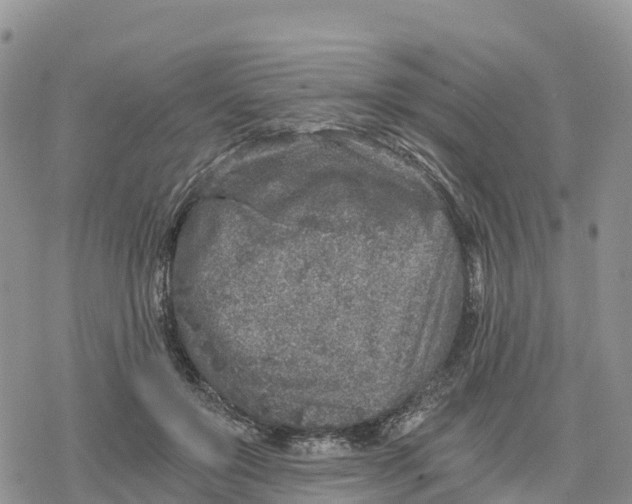 X0000078280503200611251422