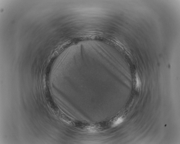 X0000078280504200611251422