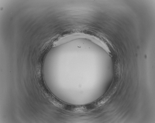 X0000078280505200611251422