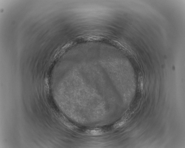 X0000078280506200611251422