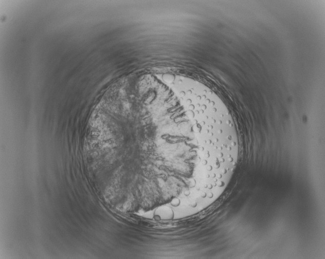 X0000078280507200611251421