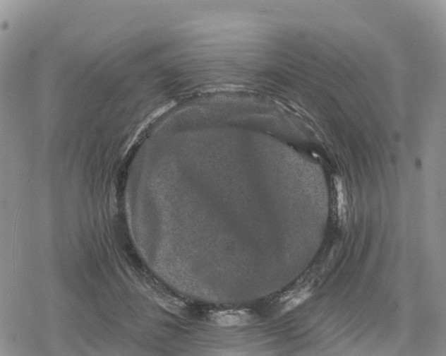 X0000078280508200611251421