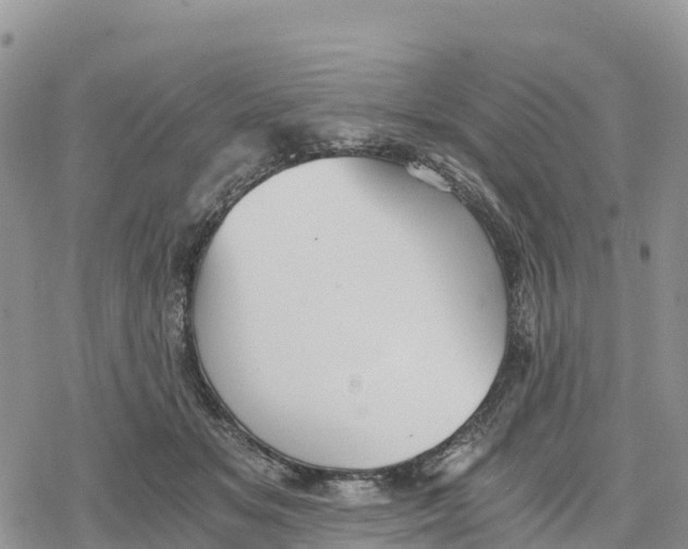 X0000078280509200611251421