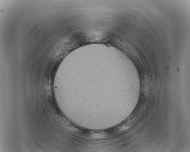 X0000078280510200611251421