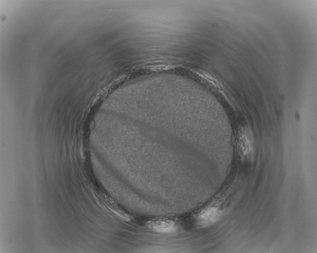 X0000078280512200611251421