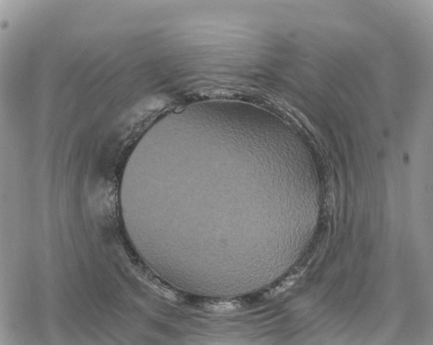 X0000078280513200611251421