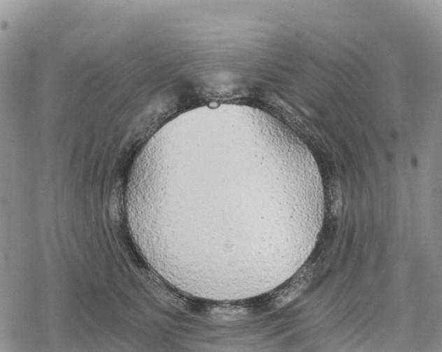 X0000078280515200611251421