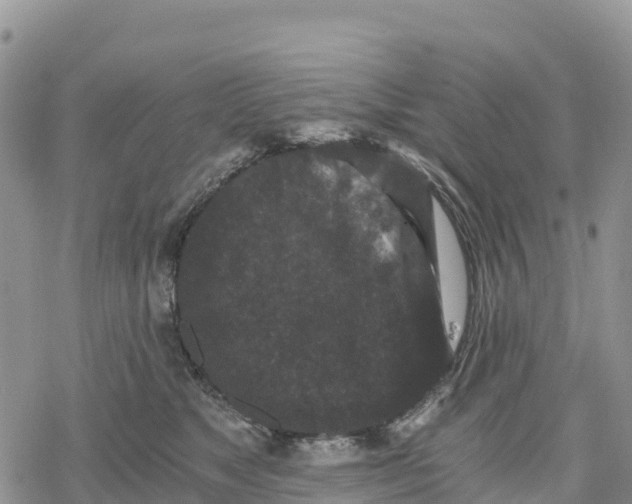 X0000078280517200611251421