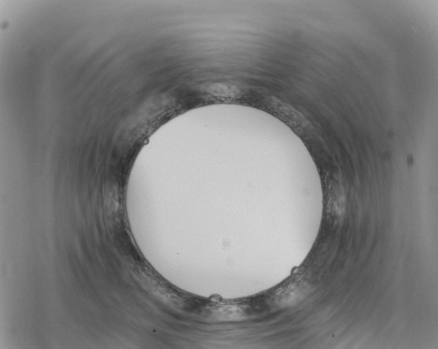 X0000078280518200611251421