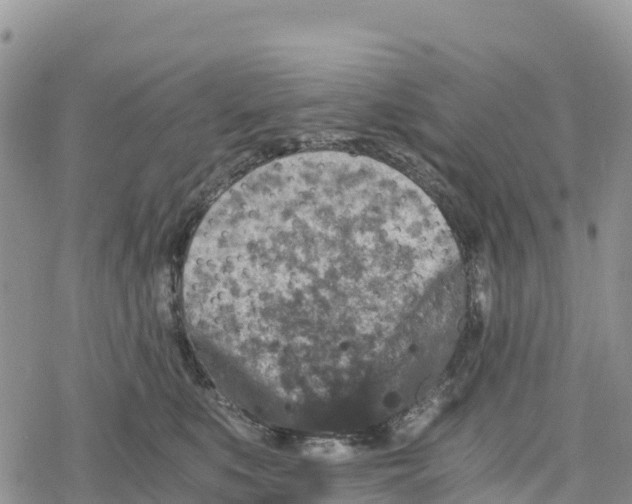 X0000078280519200611251421