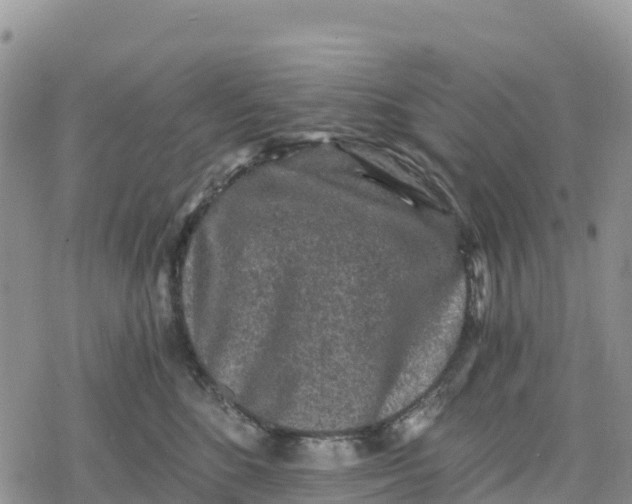 X0000078280520200611251421