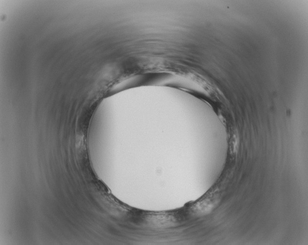 X0000078280521200611251421