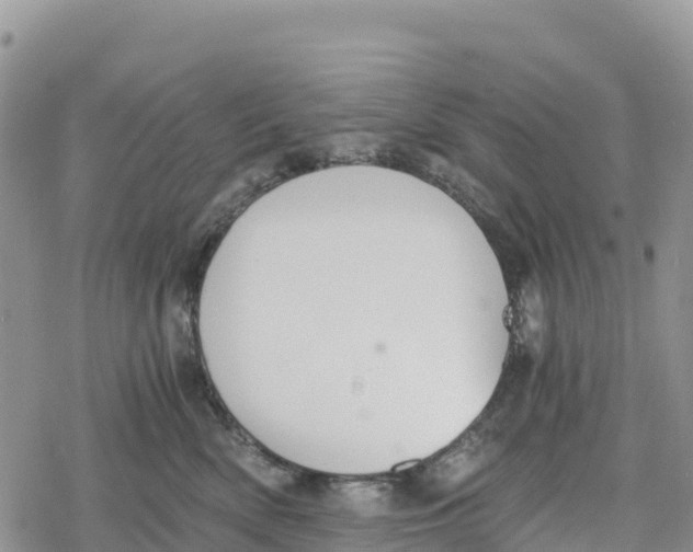 X0000078280522200611251421