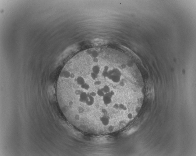 X0000078280523200611251421