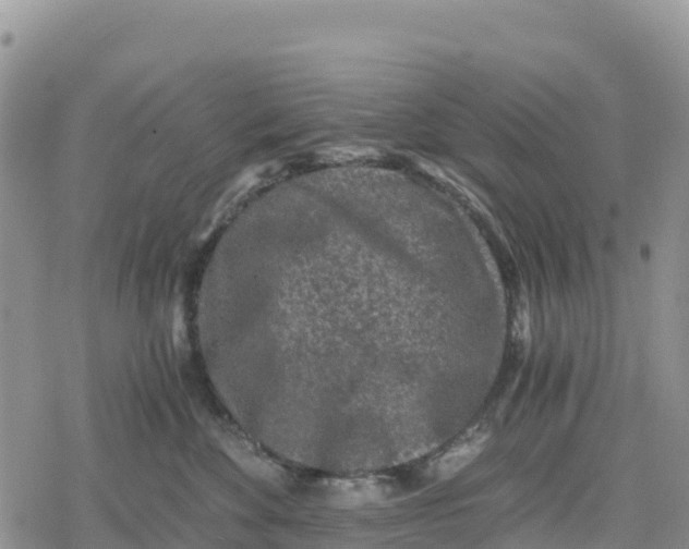 X0000078280524200611251421