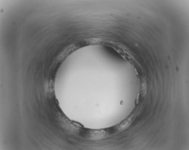 X0000078280525200611251421