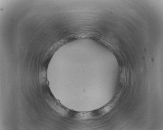 X0000078280526200611251421