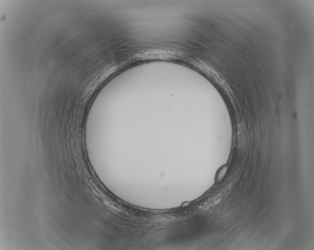 X0000078280529200611251420