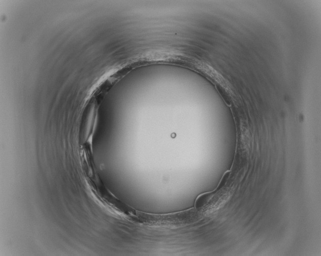 X0000078280530200611251420