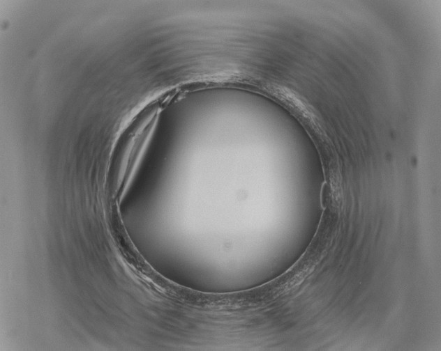 X0000078280532200611251420