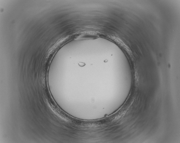 X0000078280533200611251420