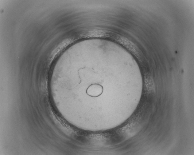 X0000078280534200611251420