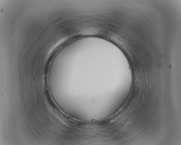 X0000078280535200611251420