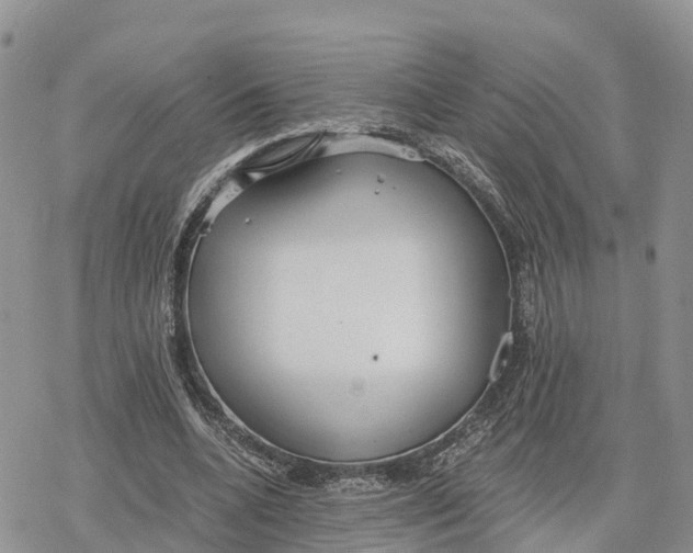 X0000078280536200611251420